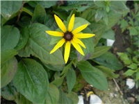 8aadecd5-Picture 6612.jpg